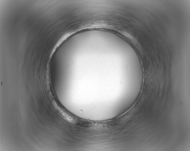 X0000060751374200512011435