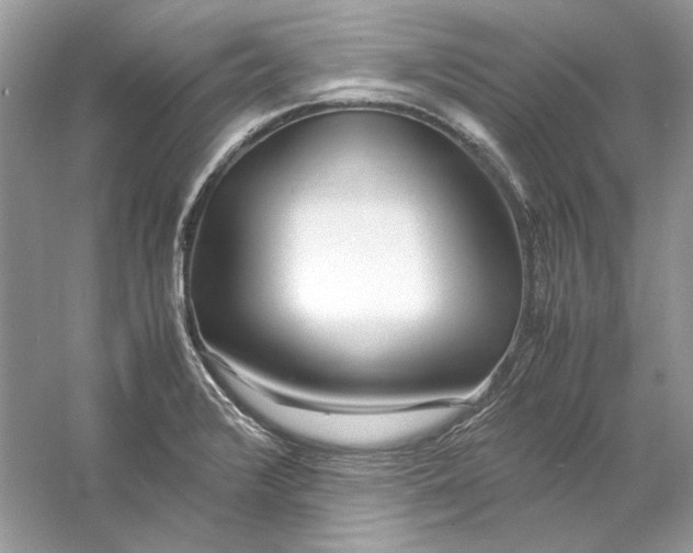 X0000060751376200512011435