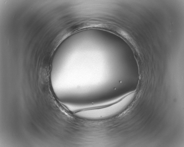 X0000060751377200512011435