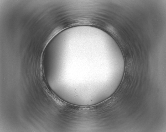 X0000060751378200512011435