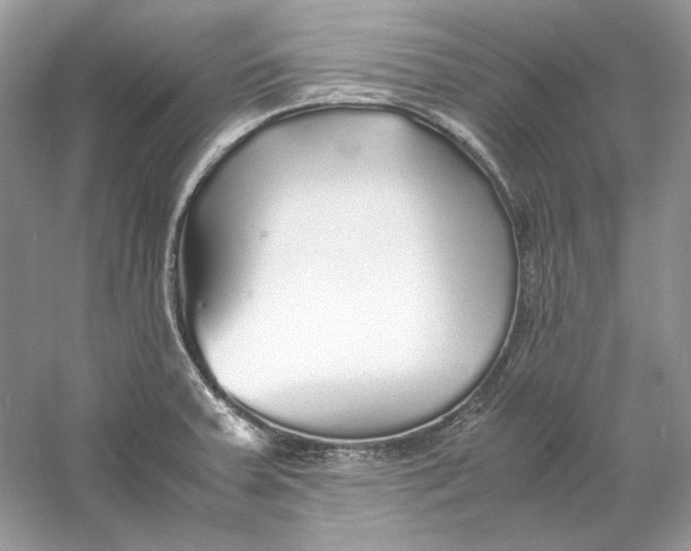 X0000060751379200512011435