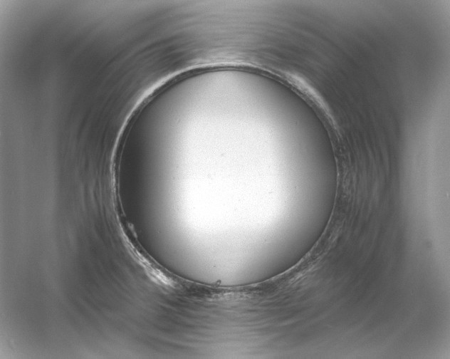X0000060751380200512011435