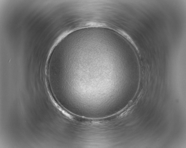 X0000060751381200512011435