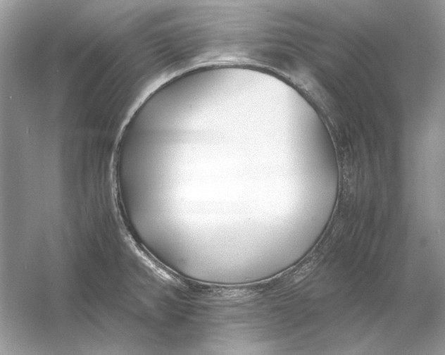 X0000060751382200512011435