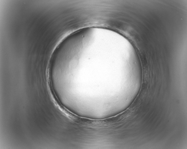 X0000060751383200512011435