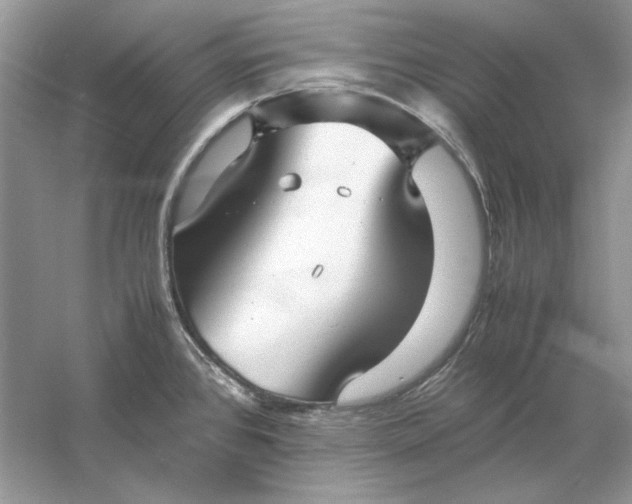 X0000060751384200512011435