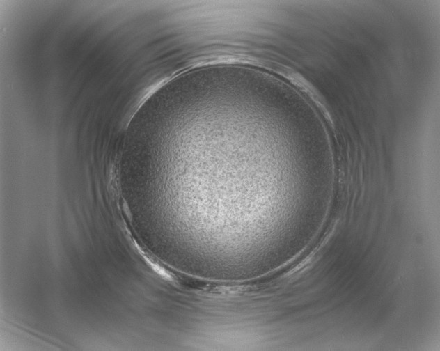 X0000060751385200512011435