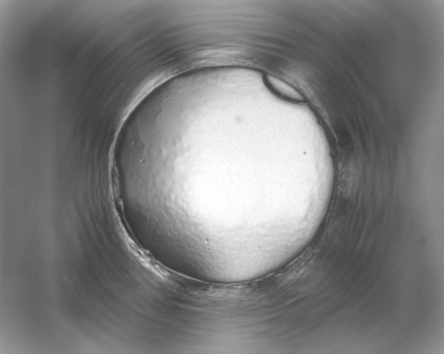 X0000060751386200512011435