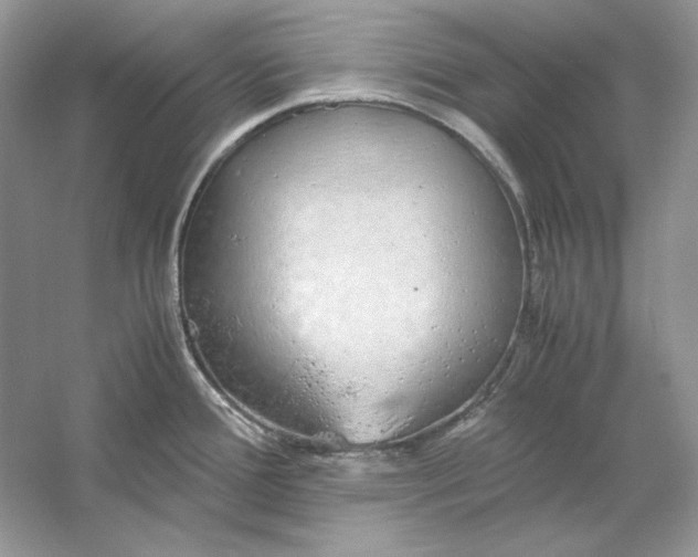 X0000060751388200512011435