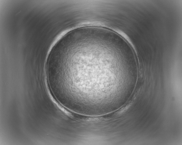 X0000060751389200512011435