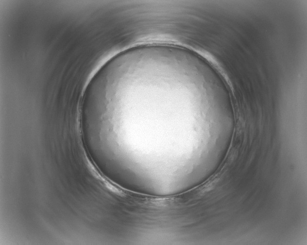 X0000060751390200512011435