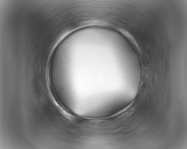 X0000060751391200512011435