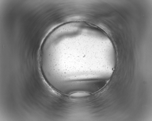 X0000060751392200512011435