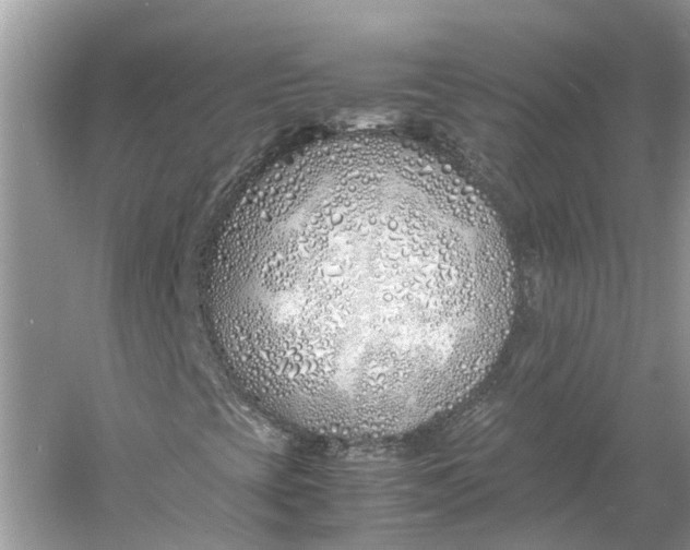 X0000060751393200512011434