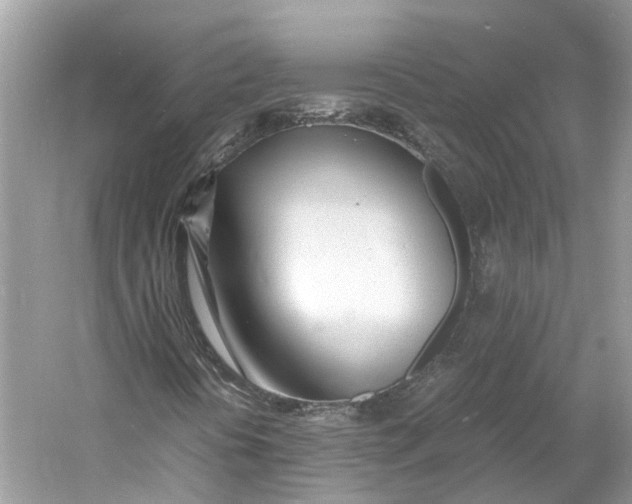 X0000060751394200512011434