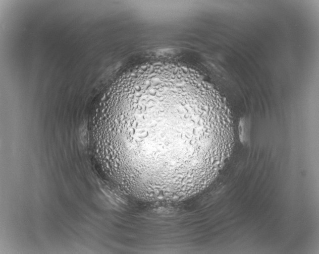 X0000060751395200512011434