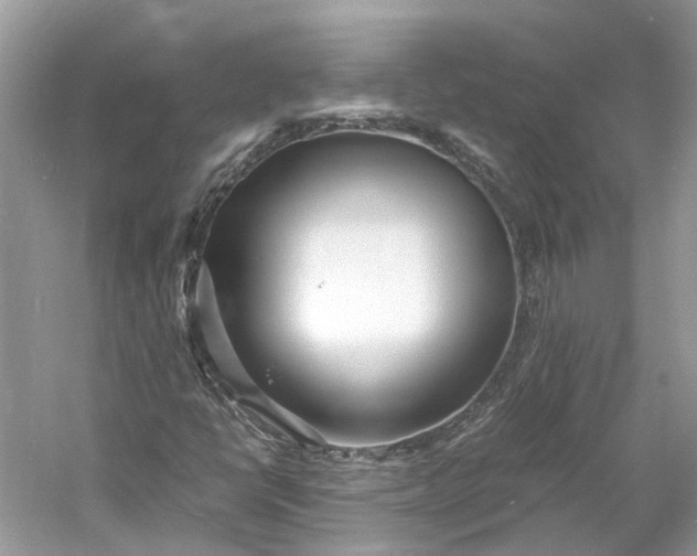 X0000060751398200512011434