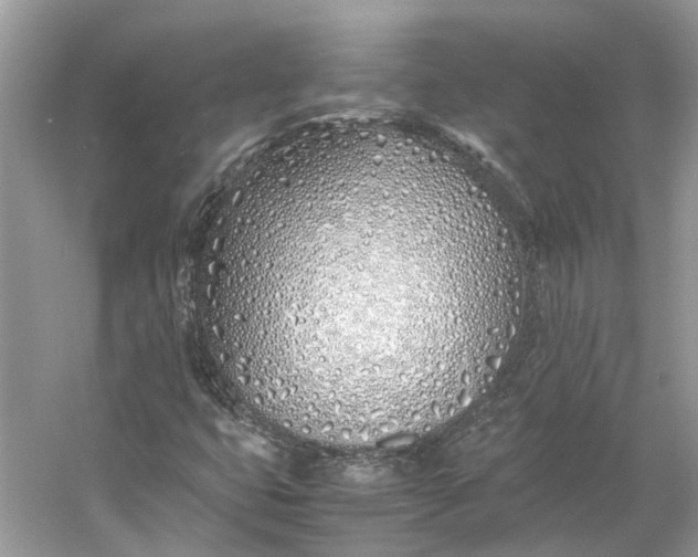 X0000060751399200512011434