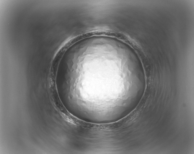 X0000060751400200512011434