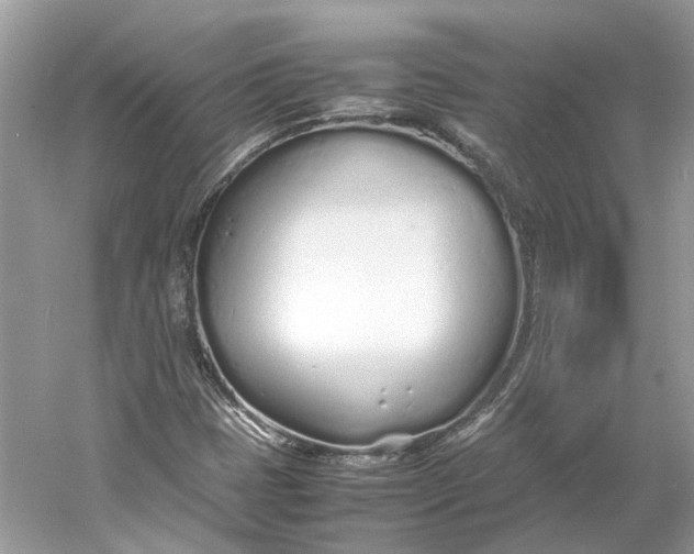 X0000060751401200512011434