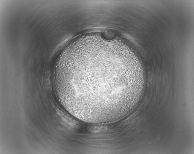 X0000060751403200512011434