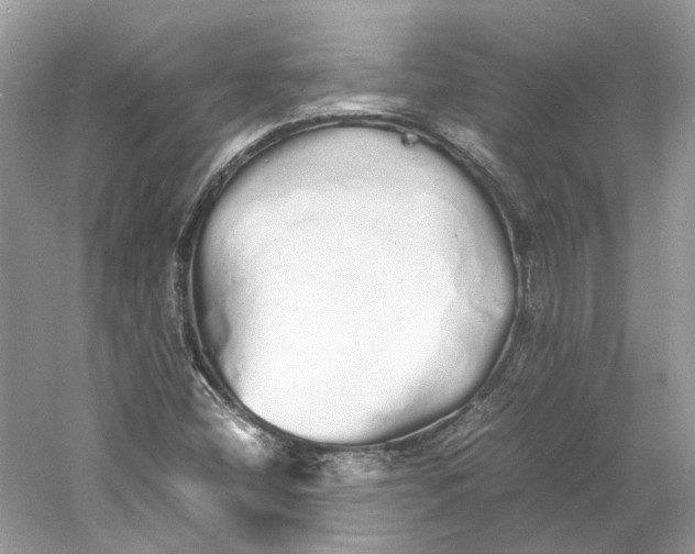 X0000060751404200512011434