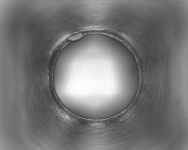 X0000060751406200512011434