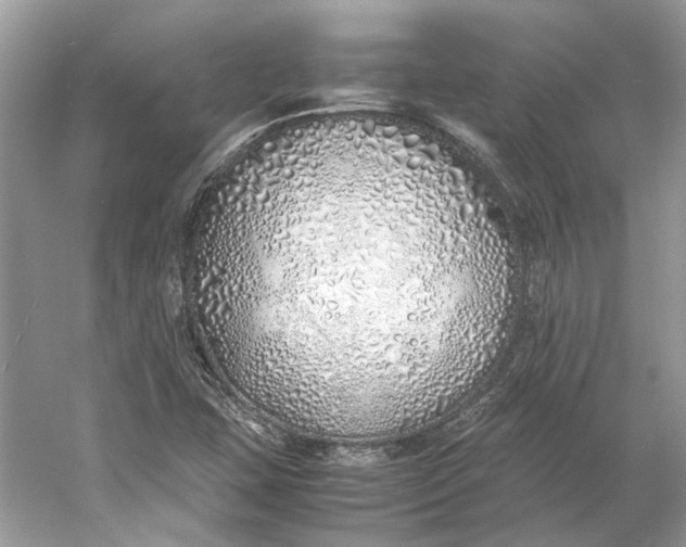 X0000060751407200512011434