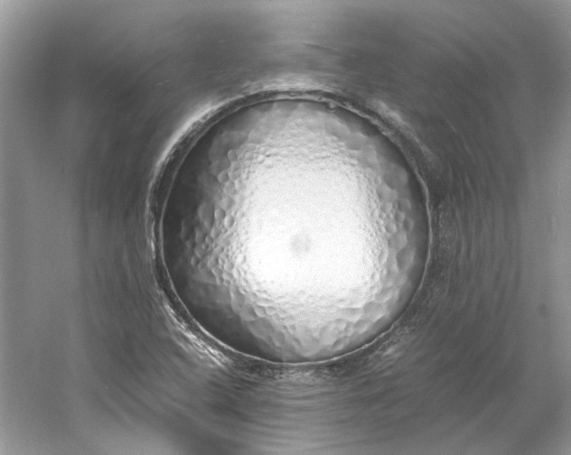 X0000060751408200512011434