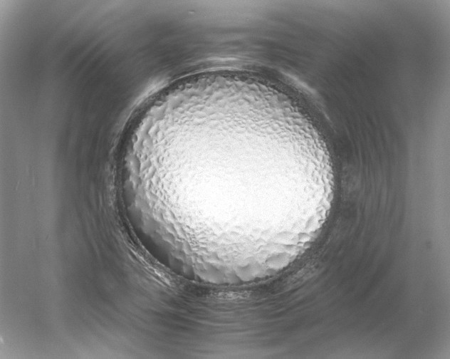 X0000060751411200512011434