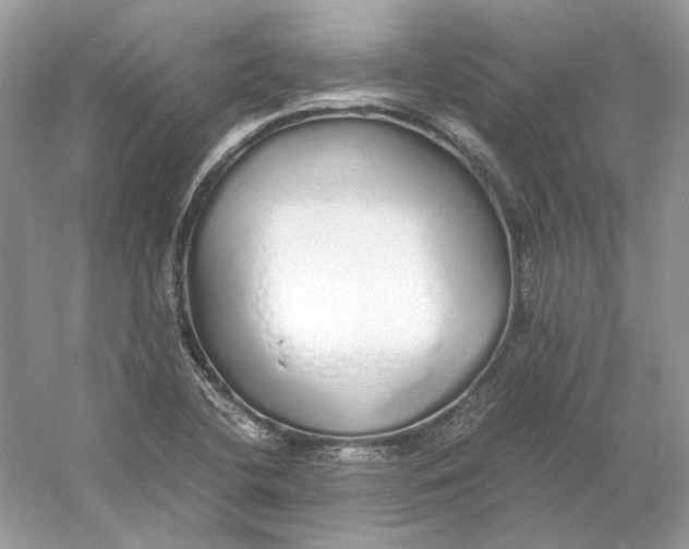 X0000060751412200512011434