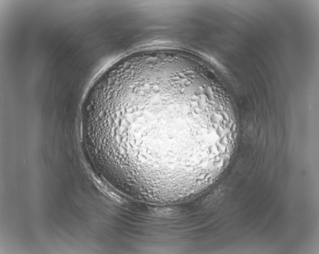 X0000060751413200512011434