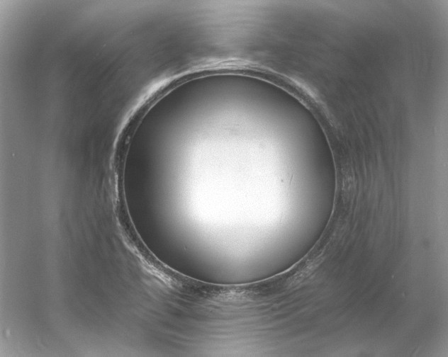 X0000060751414200512011434