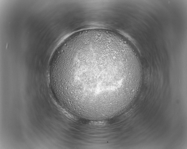 X0000060751415200512011434