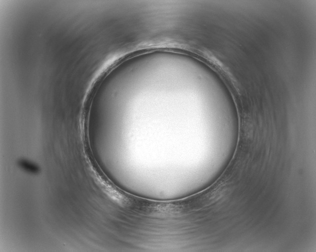 X0000060751416200512011434