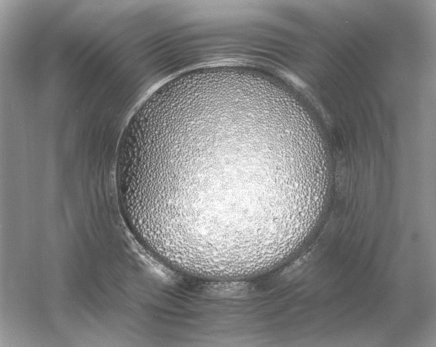 X0000060751417200512011434