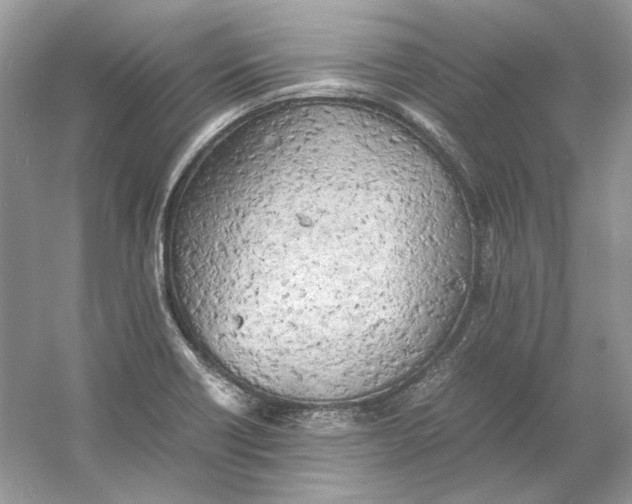 X0000060751418200512011434