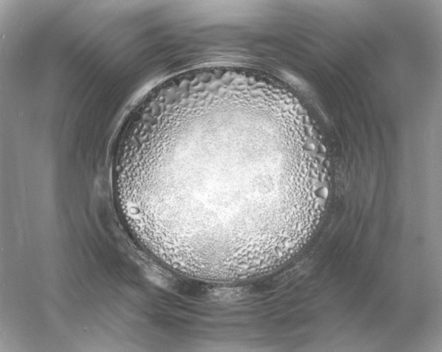 X0000060751419200512011434