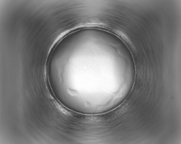 X0000060751420200512011434