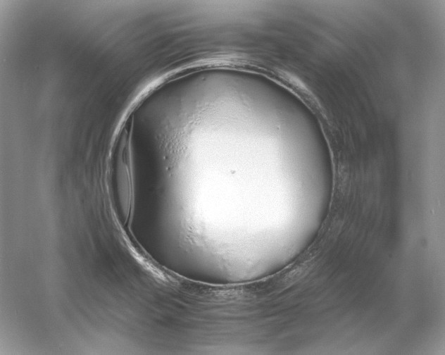 X0000060751421200512011434