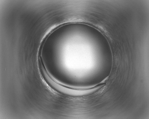 X0000060751422200512011434