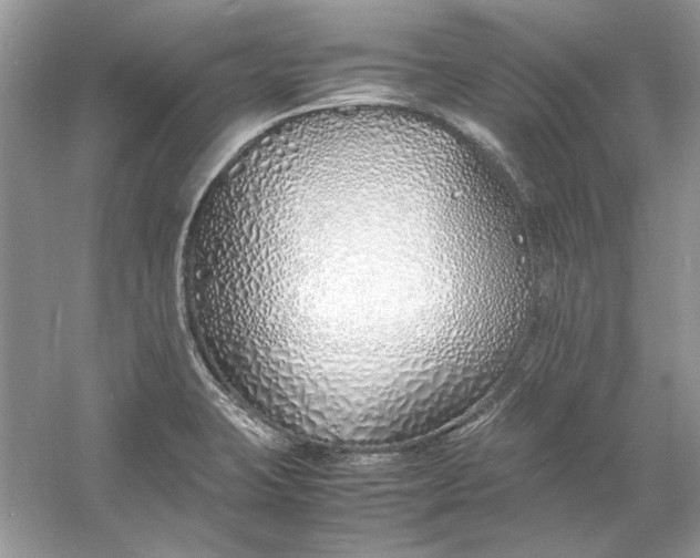 X0000060751423200512011434