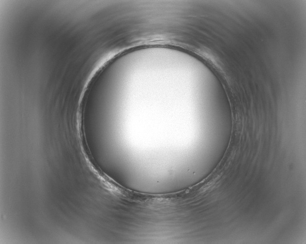 X0000060751424200512011434