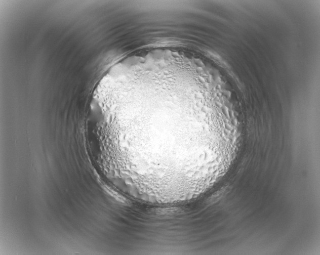 X0000060751425200512011434