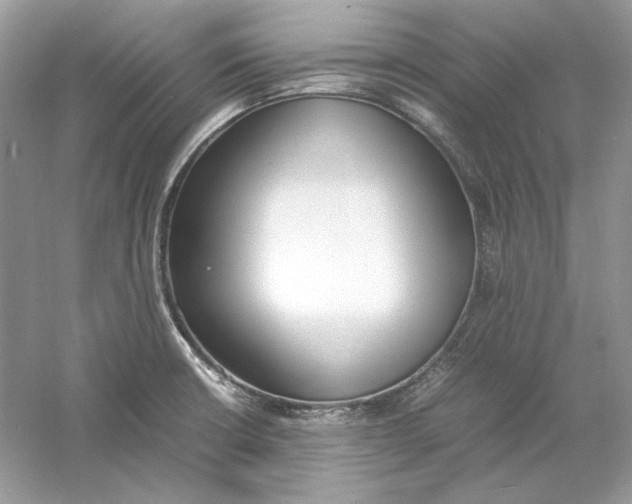 X0000060751426200512011435