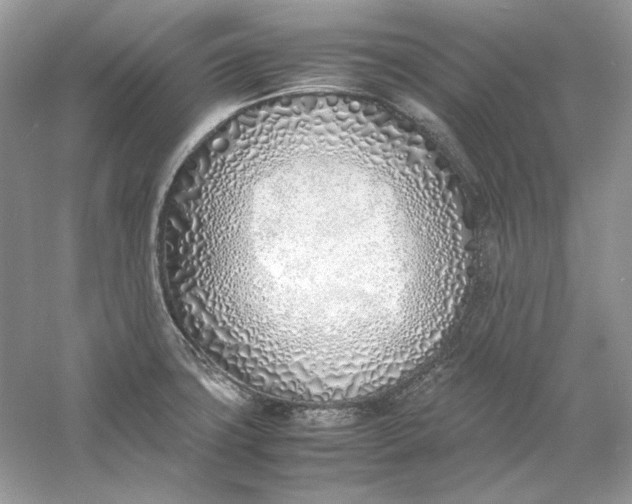 X0000060751427200512011435