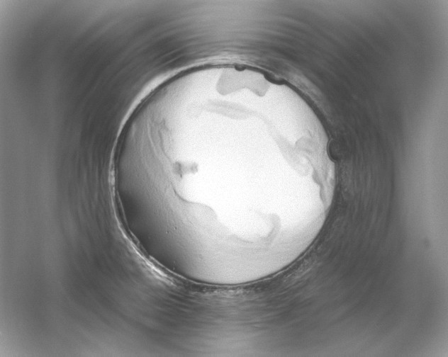 X0000060751428200512011435