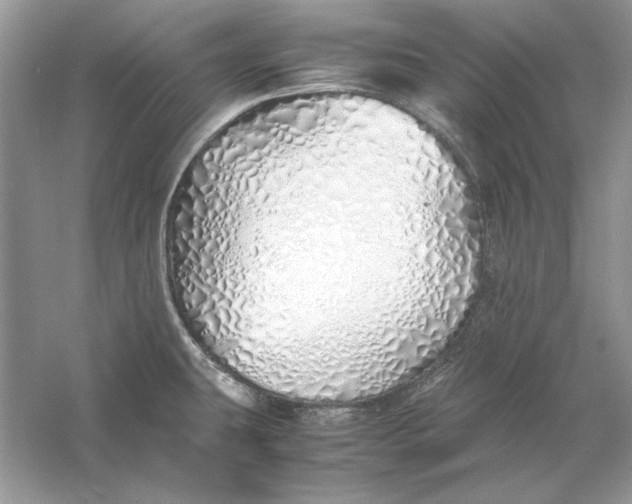 X0000060751431200512011435