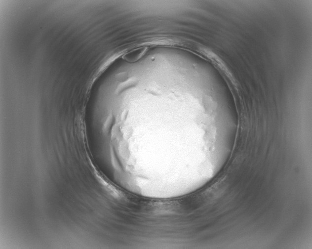 X0000060751433200512011435