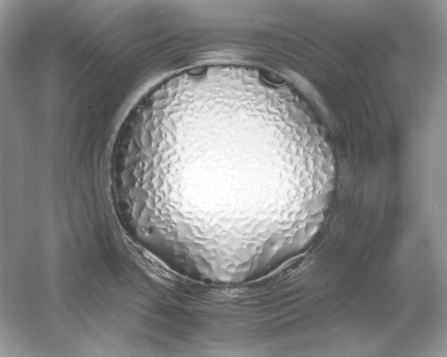 X0000060751435200512011435